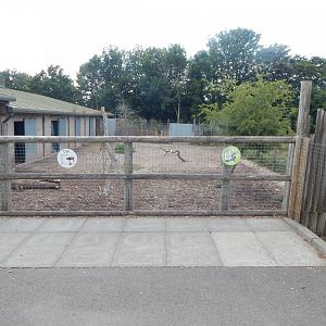 Eastern bongo enclosure 150725