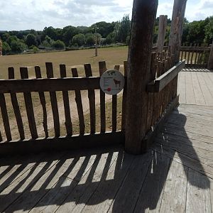 Enclosure for Giraffes, Plains zebras, Roan antelopes 150725