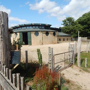 Giraffe House 150725