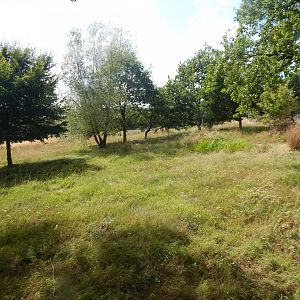 Serval Enclosure 150725