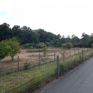 Enclosure for Western sitatungas, Red river hogs 150725