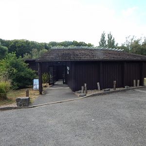 Humboldt penguin Enclosure 150725