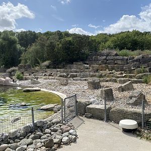 Humboldt penguin enclosure 150725