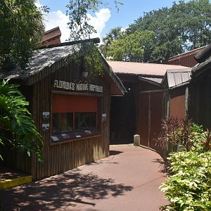 Jul. 2025 - Florida Native Reptiles