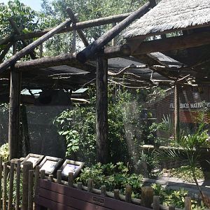 Jul. 2025 - Sloth + Others Exhibit