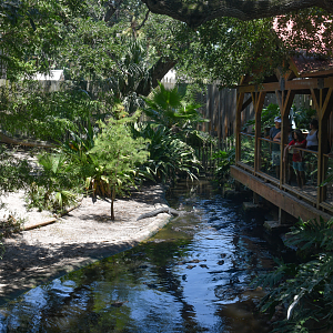 Jul. 2025 - Young Crocodilians Exhibit (7 Species)