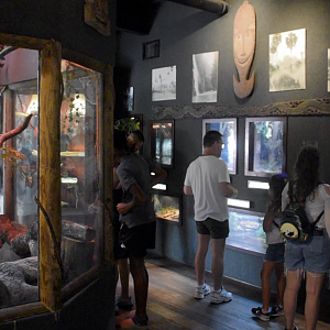 Jul. 2025 - KOMODO - Terrariums