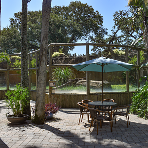 Jul. 2025 - KOMODO - Komodo Dragon Outdoor Exhibit