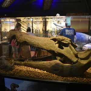 Jul. 2025 - Gomek Forever - Deinosuchus