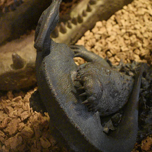 Jul. 2025 - Gomek Forever - Deinosuchus Munching on a Parasaurolophus