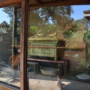 Jul. 2025 - Oasis on the Nile - Timor Python Exhibit