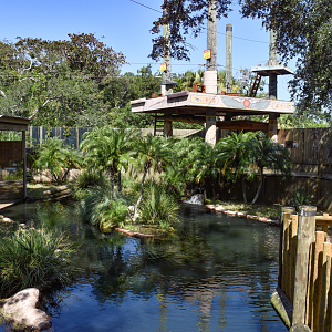 Jul. 2025 - Oasis on the Nile - Nile Crocodile Exhibit