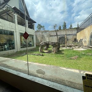 bengal tiger exhibit (1)