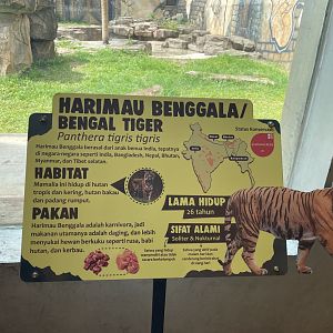 bengal tiger signage (1)