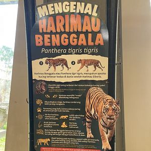 bengal tiger signage (2)