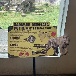 white tiger signage