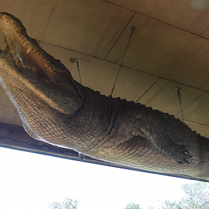 Jul. 2025 - Oasis on the Nile - Crocodile Statue