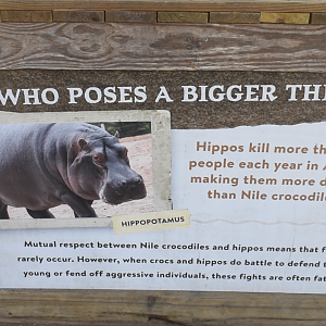 Jul. 2025 - Oasis on the Nile - Hippo Sign