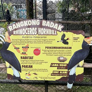 rhinoceros hornbill signage