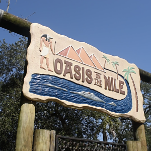 Jul. 2025 - Oasis on the Nile