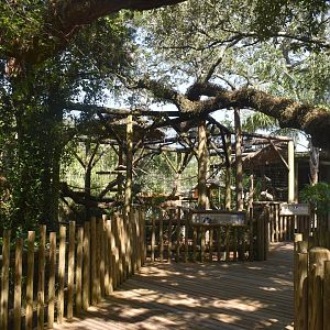 Jul. 2025 - Lemurs of Madagascar