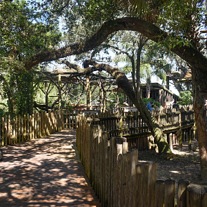 Jul. 2025 - Galapagos Tortoises & Lemurs of Madagascar