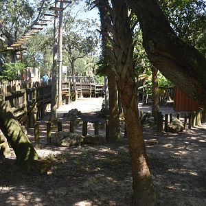 Jul. 2025 - Galapagos Tortoise Exhibit