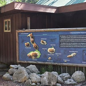 Jul. 2025 - Galapagos Tortoise Exhibit - Galapagos Islands Sign
