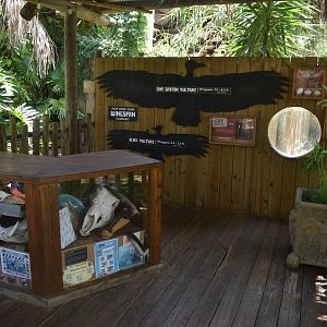 Jul. 2025 - Birds of Africa Signage