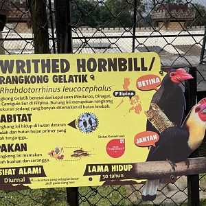 writhed hornbill signage