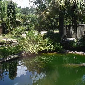 Jul. 2025 - Land of Crocodiles - Asia - Indian Gharial Exhibit