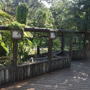 Jul. 2025 - Land of Crocodiles - Asia - Freshwater Crocodile/Southeast Asian Box Turtle Exhibit