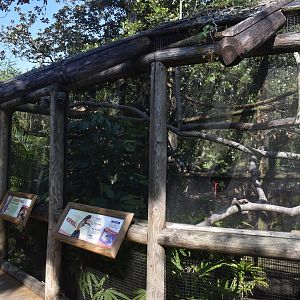 Jul. 2025 - Land of Crocodiles - Asia - Knobbed Hornbill Exhibit