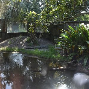 Jul. 2025 - Land of Crocodiles - Asia - Siamese Crocodile Exhibit