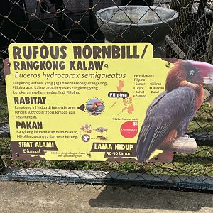 rufous hornbill signage (inaccurate/mislabeled)