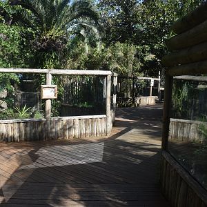 Jul. 2025 - Land of Crocodiles - Asia - General View