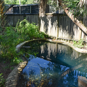 Jul. 2025 - Land of Crocodiles - Africa - Mugger Crocodile Exhibit