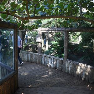 Jul. 2025 - Land of Crocodiles - Africa