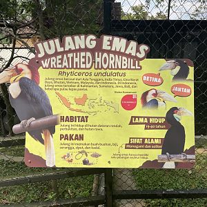 wreathed hornbill signage