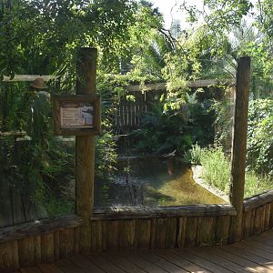 Jul. 2025 - Land of Crocodiles - Yacaré Caiman Exhibit