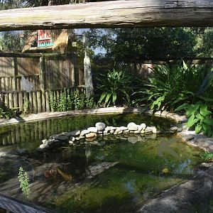 Jul. 2025 - Land of Crocodiles - Cuban Crocodile Exhibit