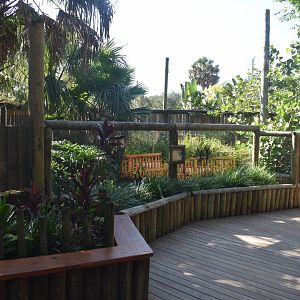 Jul. 2025 - Land of Crocodiles - Broad-snouted Crocodile Exhibit