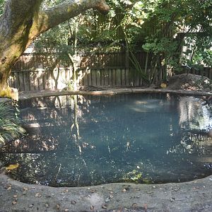 Jul. 2025 - Land of Crocodiles - Morelet's Crocodile Exhibit