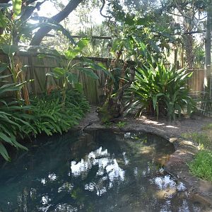 Jul. 2025 - Land of Crocodiles - Orinoco Crocodile Exhibit