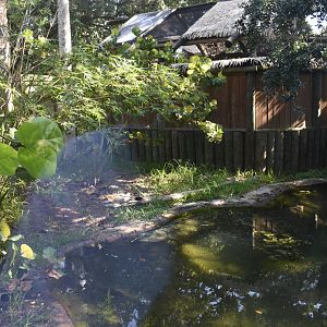 Jul. 2025 - Land of Crocodiles - American Crocodile Exhibit