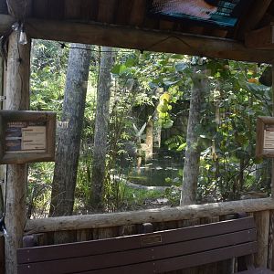 Jul. 2025 - Land of Crocodiles - American Crocodile Exhibit