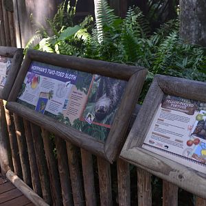 Jul. 2025 - Sloth + Others Signs