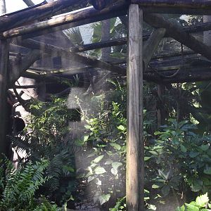 Jul. 2025 - Sloth + Others Exhibit