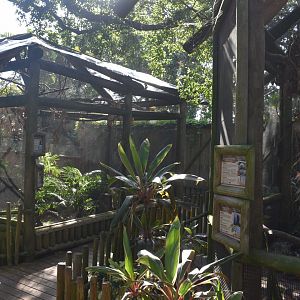 Jul. 2025 - Tamarin + Conure Exhibits