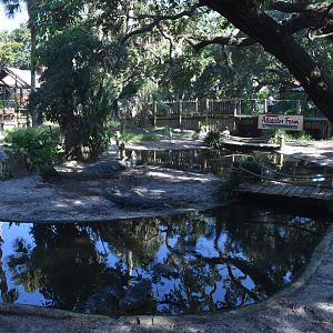 Jul. 2025 - Alligator Lagoon